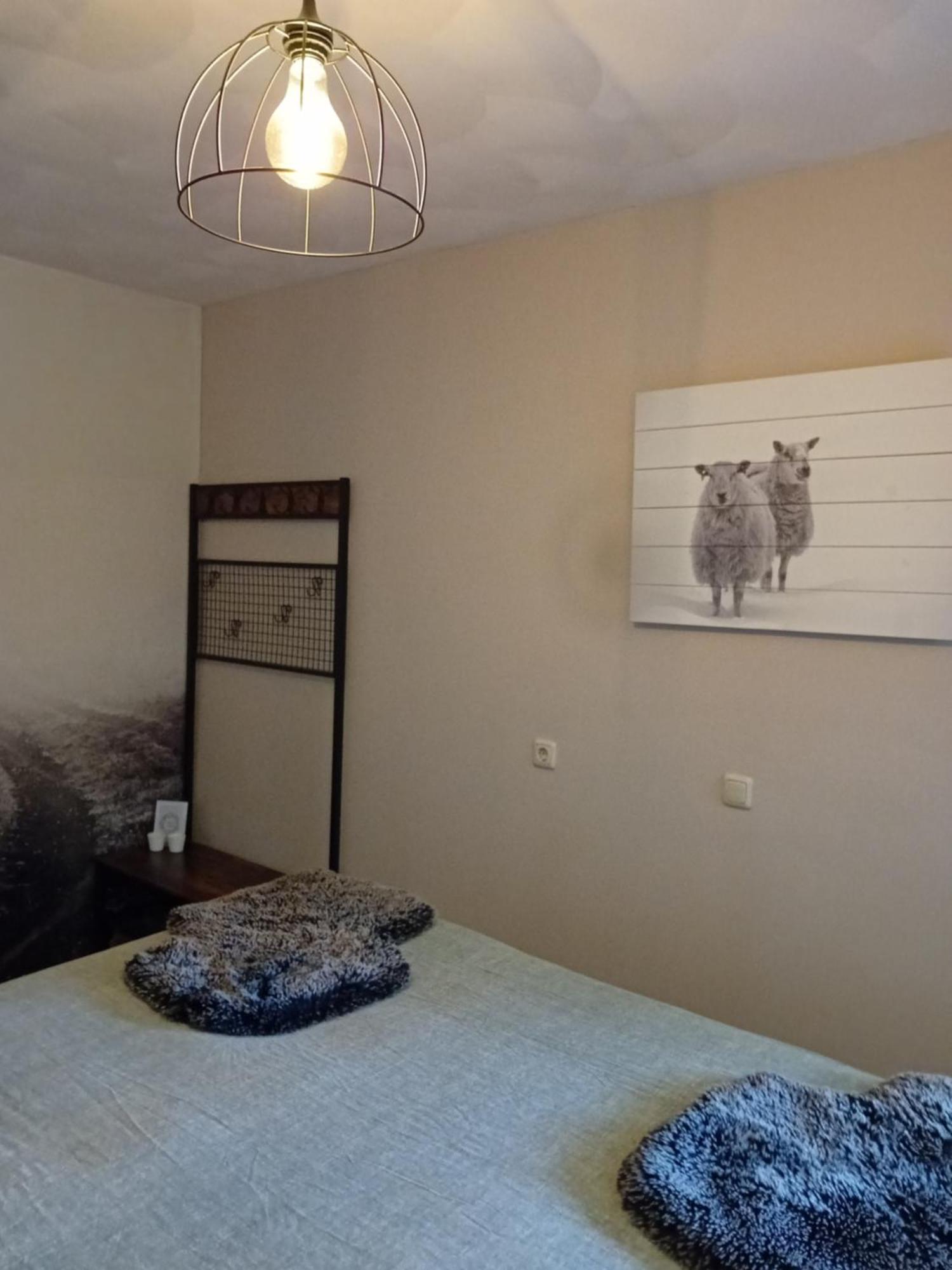 Liessel B&B Typisch Lelies מראה חיצוני תמונה